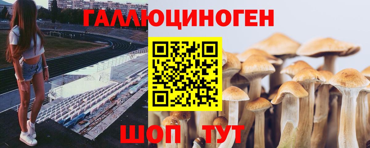 Псилоцибиновые грибы мицелий Кстово